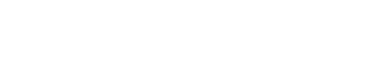 Texas AirZone logo