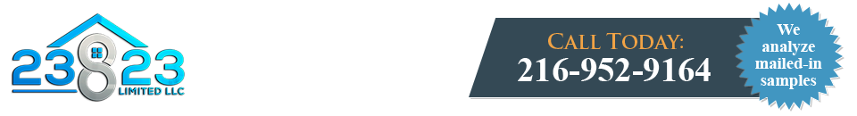 23823 Limited LLC logo