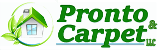 Pronto And Carpet LLC logo