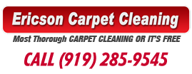 Ericson Carpet Cleaning logo