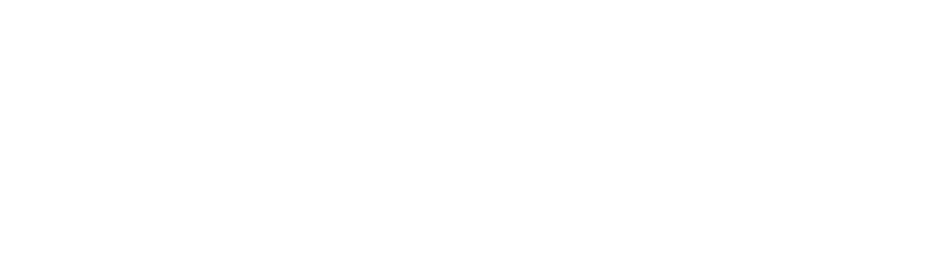 Action Door Service logo