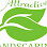 Attractive Landscaping logo