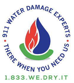 911 Water Damage Experts of Ohio logo