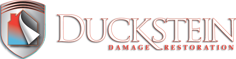 Duckstein Restoration logo