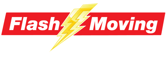 Flash Moving logo