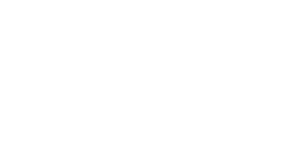 Stein Design & Development Inc logo