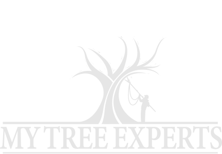 My Tree Experts logo
