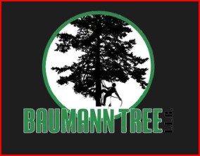 Baumann Tree logo