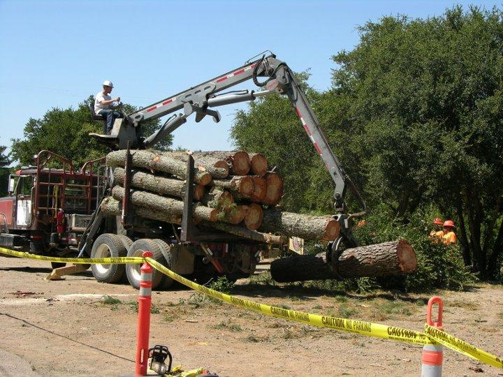 Fine Tree Care Diamond Certified