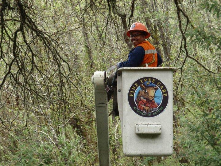 Fine Tree Care Diamond Certified