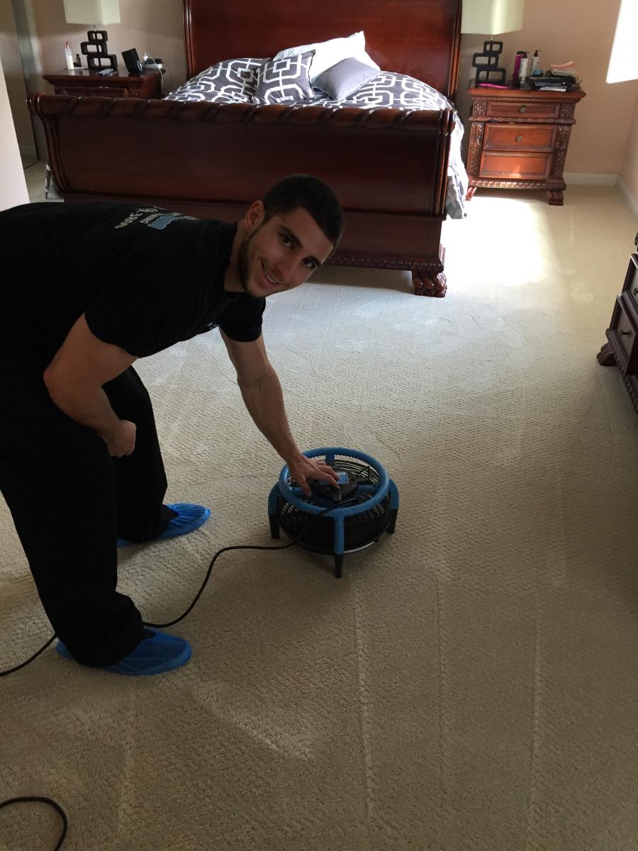 Maximum Carpet Cleaning East Bay Carpet Cleaning Diamond Certified
