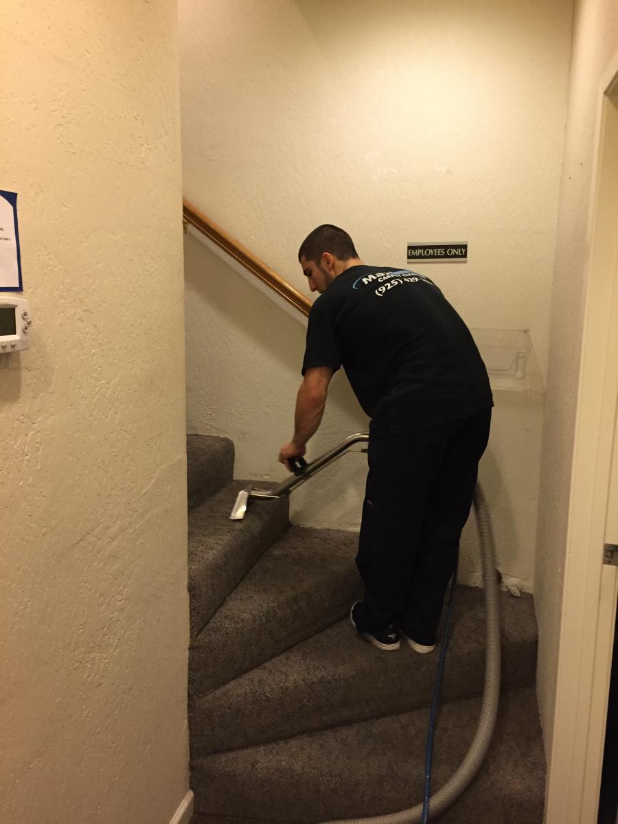 Maximum Carpet Cleaning East Bay Carpet Cleaning Diamond Certified