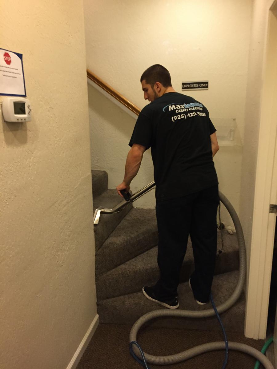 Maximum Carpet Cleaning East Bay Carpet Cleaning Diamond Certified