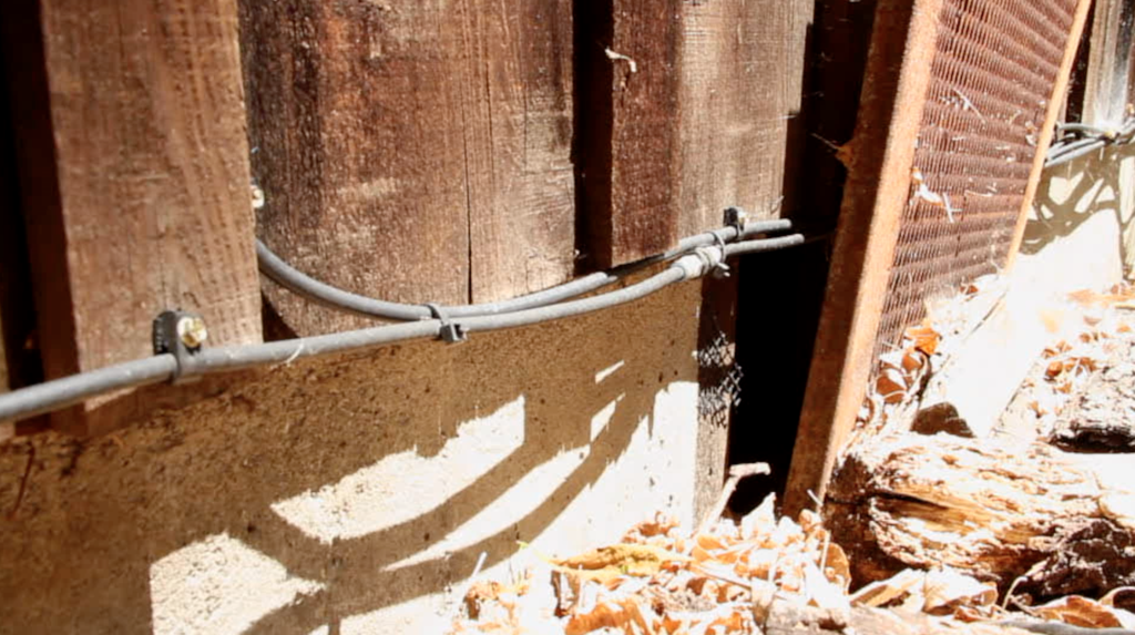 Osborn Spray Service East Bay Pest Control Diamond Certified