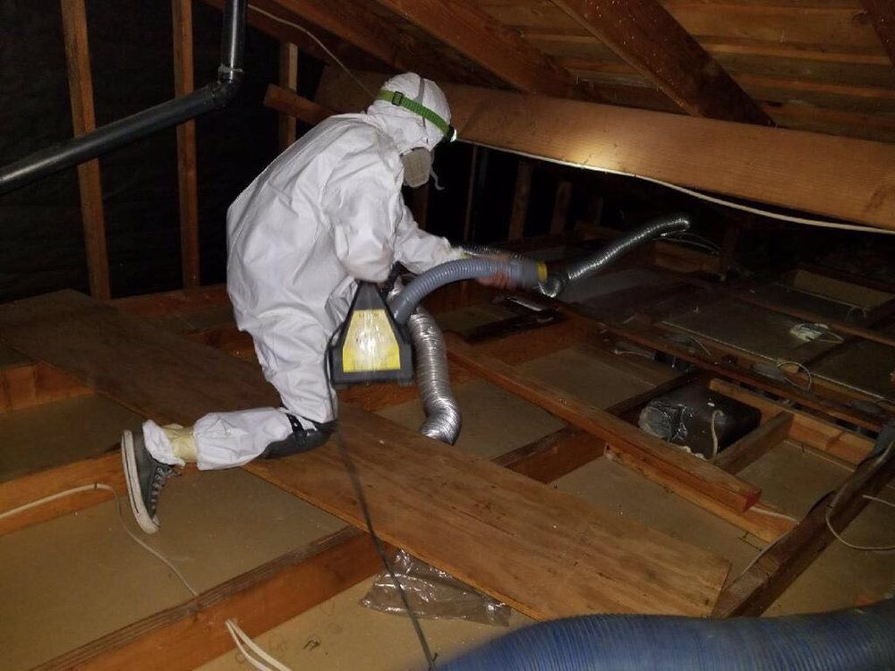 attic crew employee cleaning an attic