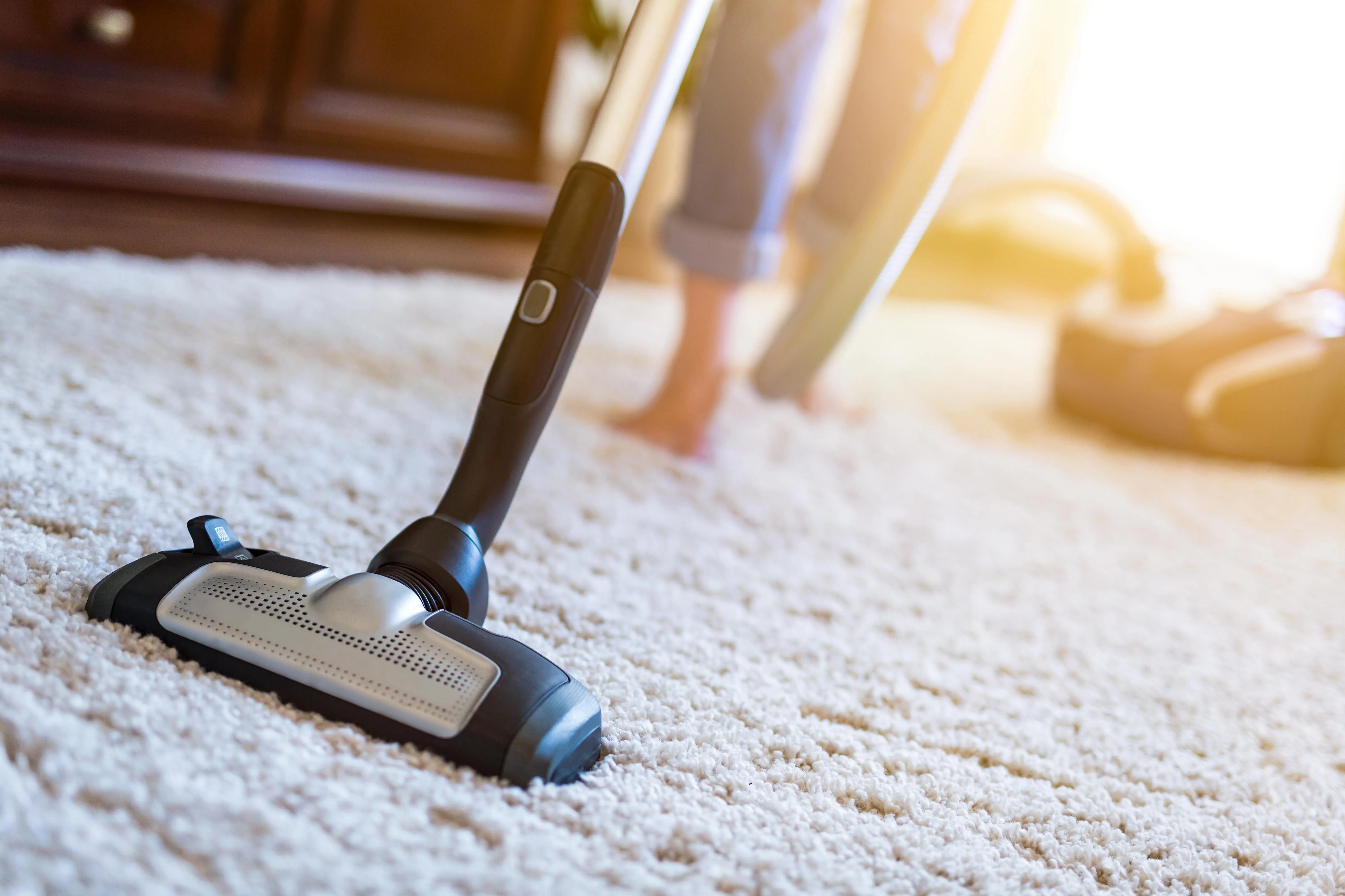 4 Common Carpet Conditions (and How to Correct Them)