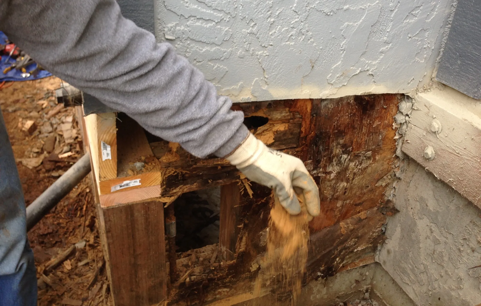 Residential pest control solano county (94) foto