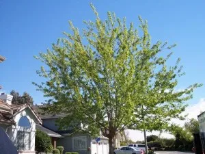 An “Earth-Shaking” Reminder about Preventive Maintenance