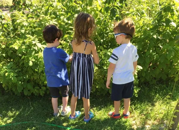 Camp Grandma and Grandpa: Tips for Hosting Your Grandkids This Summer
