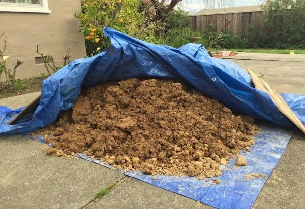 The Sump Pump Solution: How I Dealt With Water Damage in My House
